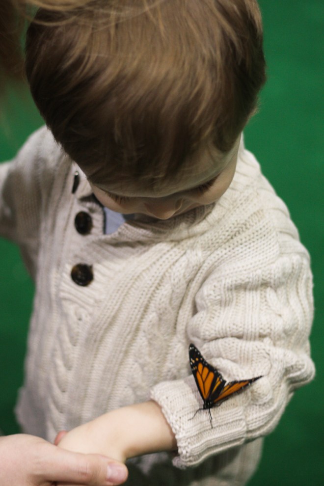 Uh... it's getting a little close.