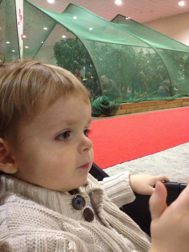 Waiting for Mommy to watch a tile demonstration... yaaawn.