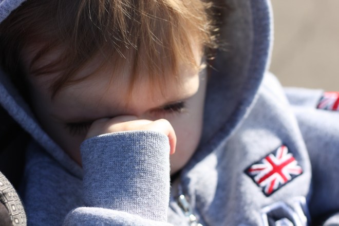 I'm not sleepy. It's the sun... zzzzzzzzz