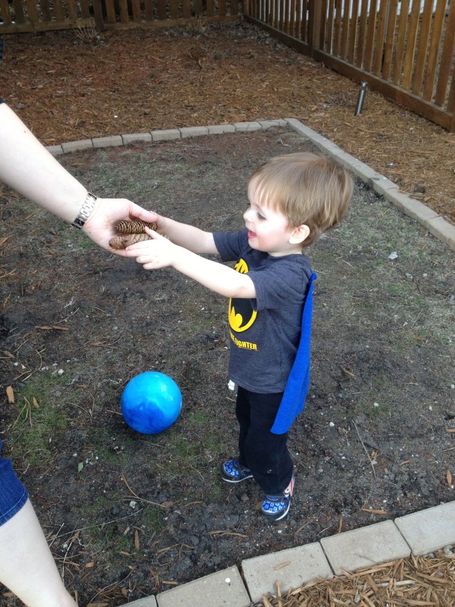 Enough kickball! PINE CONES!
