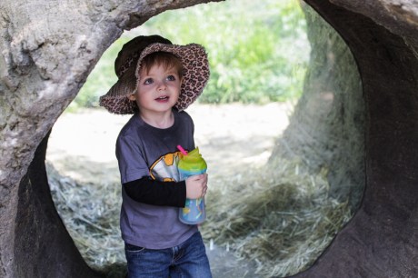 And the baby bear said... 