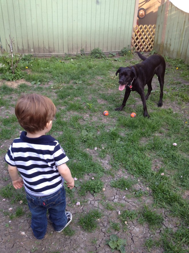 Bring those balls to me, beast! (Please?) 