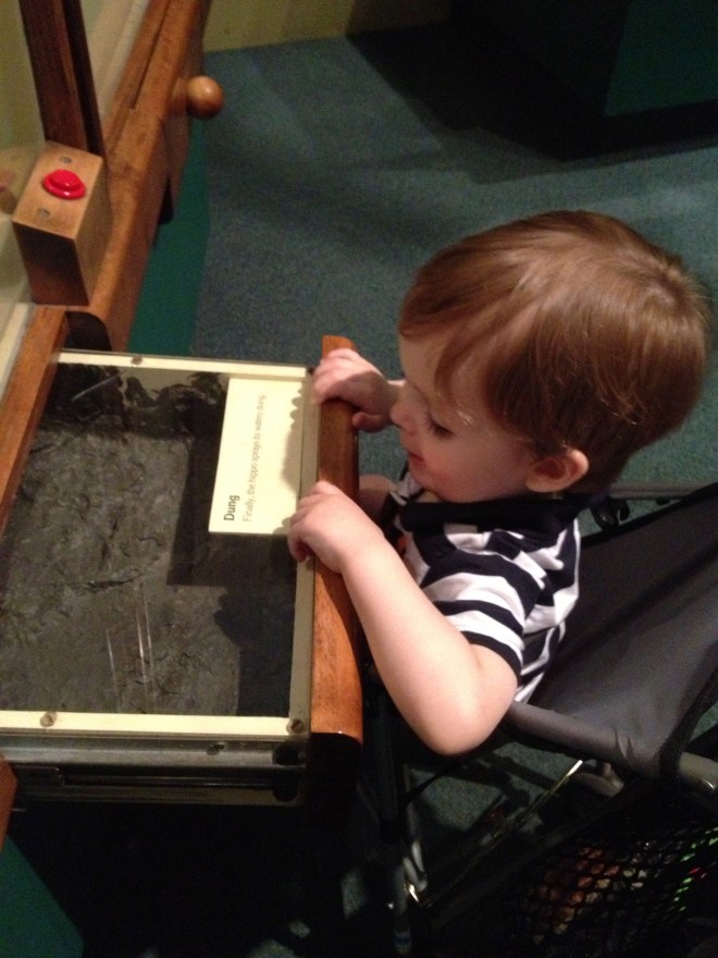 Heh heh heh. Hippo poop!