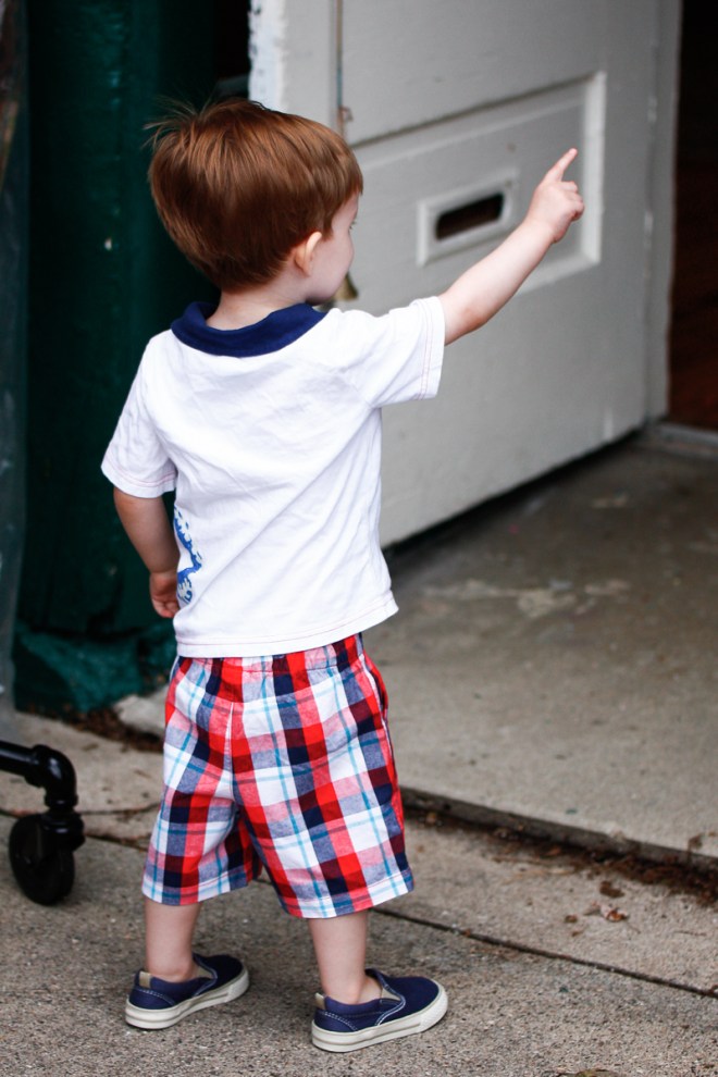 Butterflies & Lanterns spotted, Captain!
