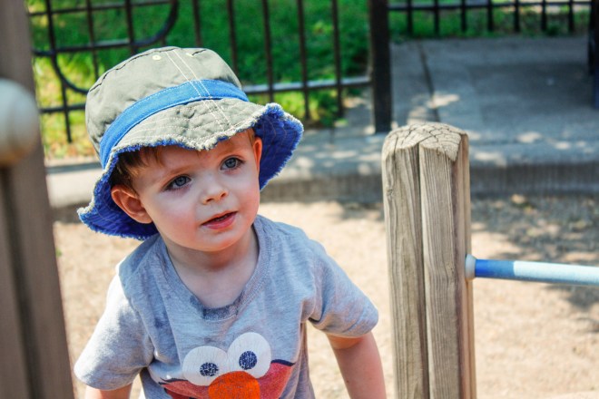 The intrepid explorer surveys the ascent.