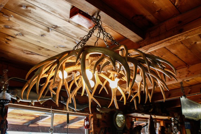 Lantern? More like Antlern.