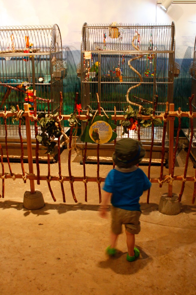 This zoo is for the birds!