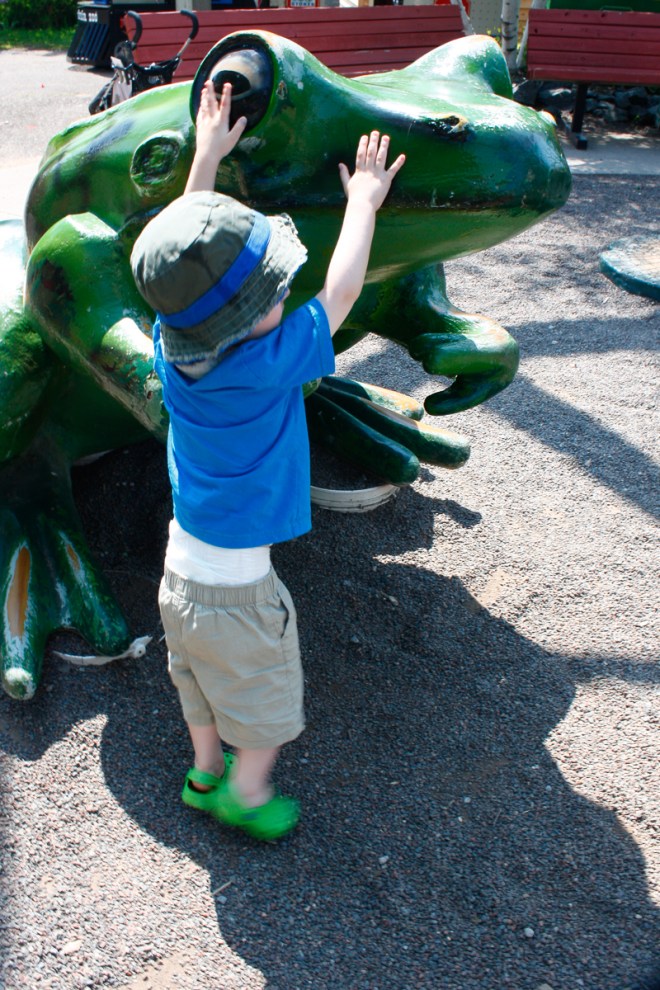 Nice cool frog eyes... ahhh.