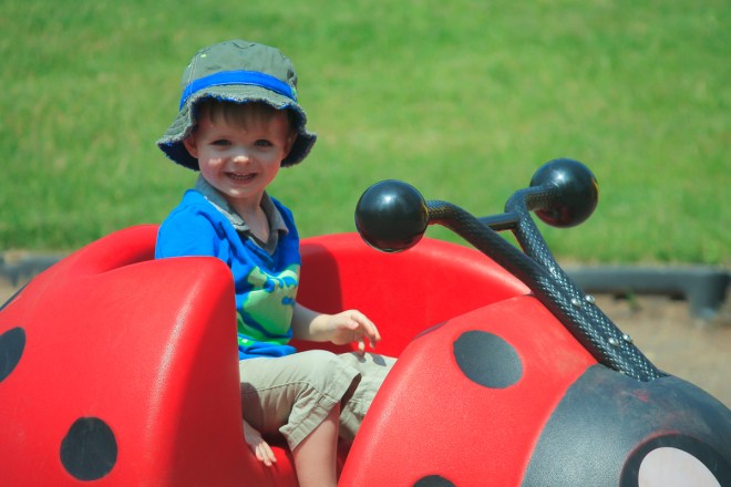 Lady Bugs make the best carriages.