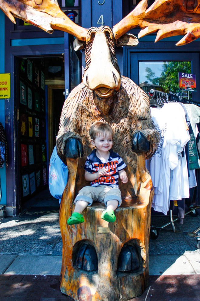 Just Moosing around... 