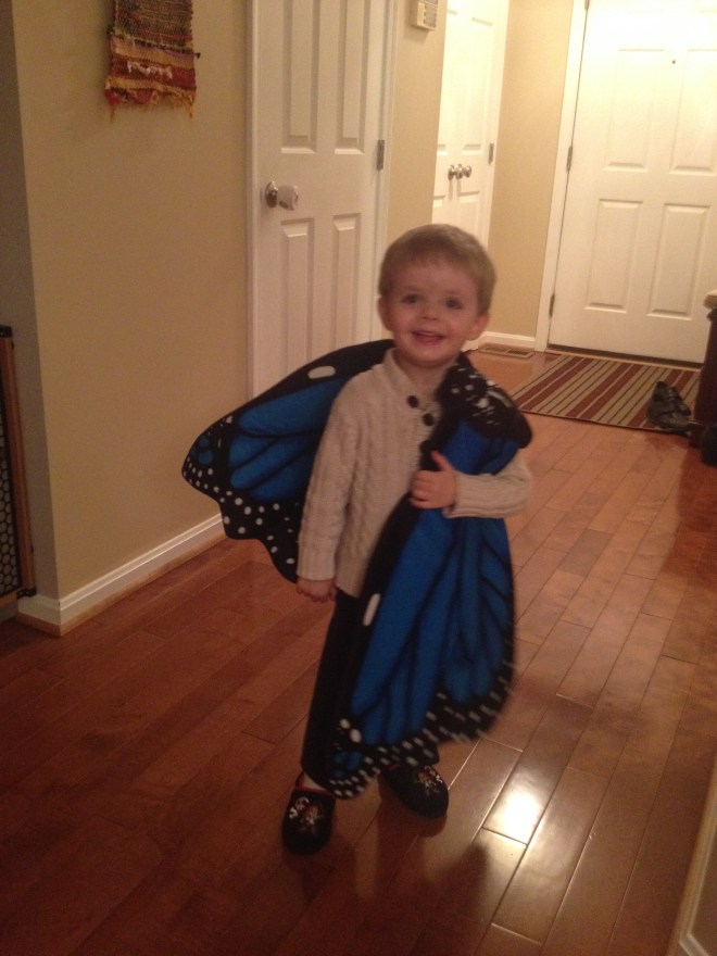 Proof that I love butterflies.