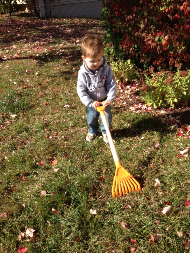 I'll expect a tip for this, buddy.