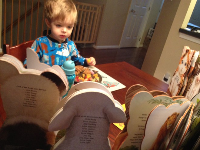 WHAT YOU LOOKING AT LITTLE LAMB? 