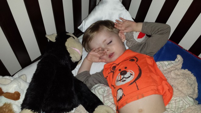 Why, yes, Bananas... I would like to go sledding... zzzzzzzz