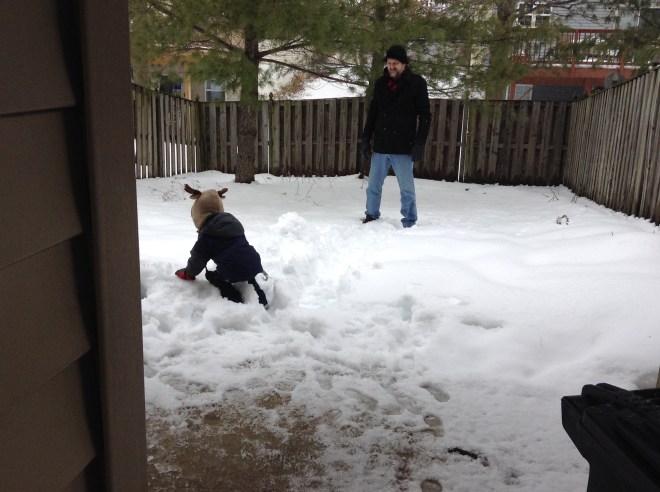 WOW. Our backyard just became our refrigerator.