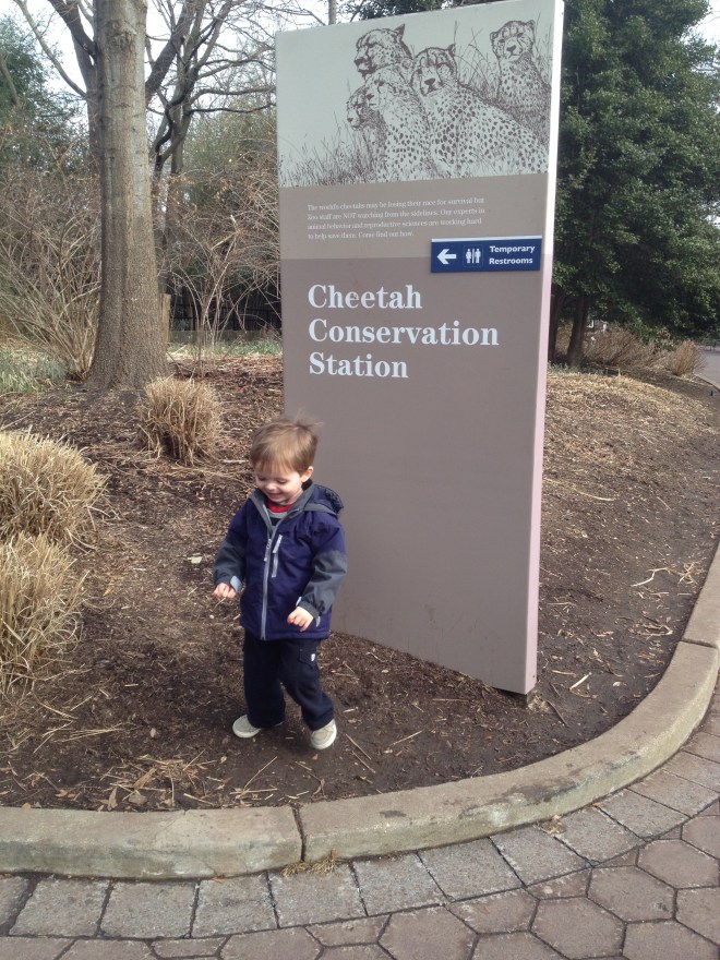 I'M FASTER THAN A CHEETAH!