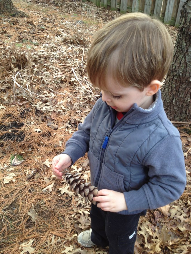 Wet pine cone, recovered.