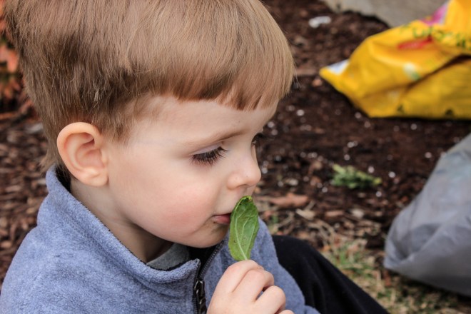 It smells like... (nom nom nom) 