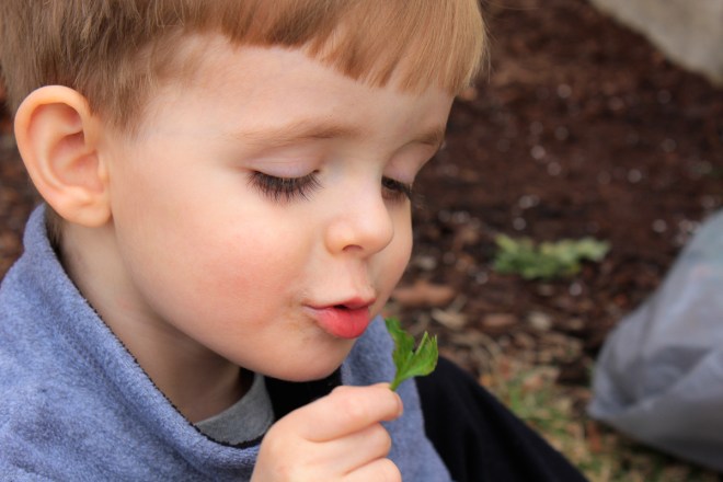 Hey! This IS my sniff face.