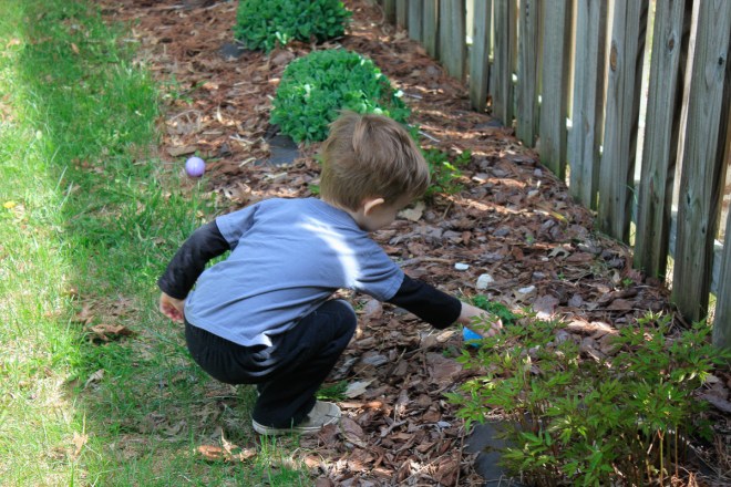 I think we have an Easter Bunny infestation!