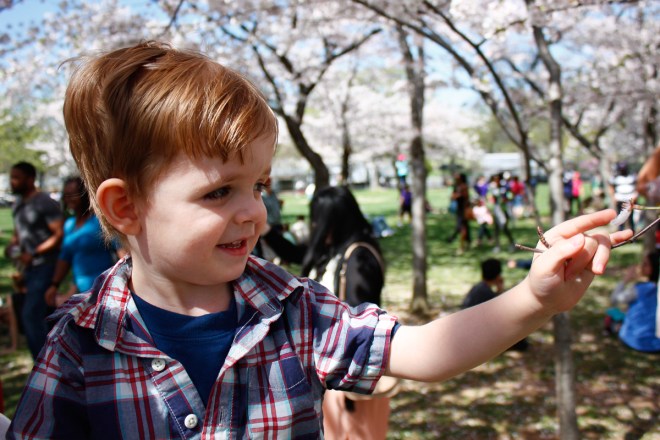 NICE! But where are the cherries?