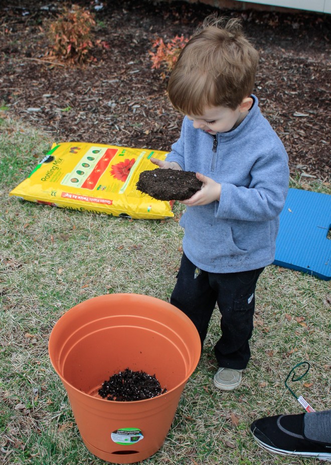 I dub thee, "Sir Clummpa Dirt".