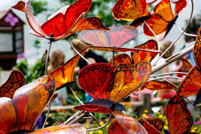 Did I mention... BUTTERFLIES!!!!