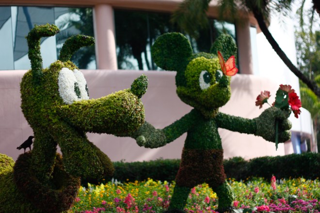 Bushes I can wrap my head around.