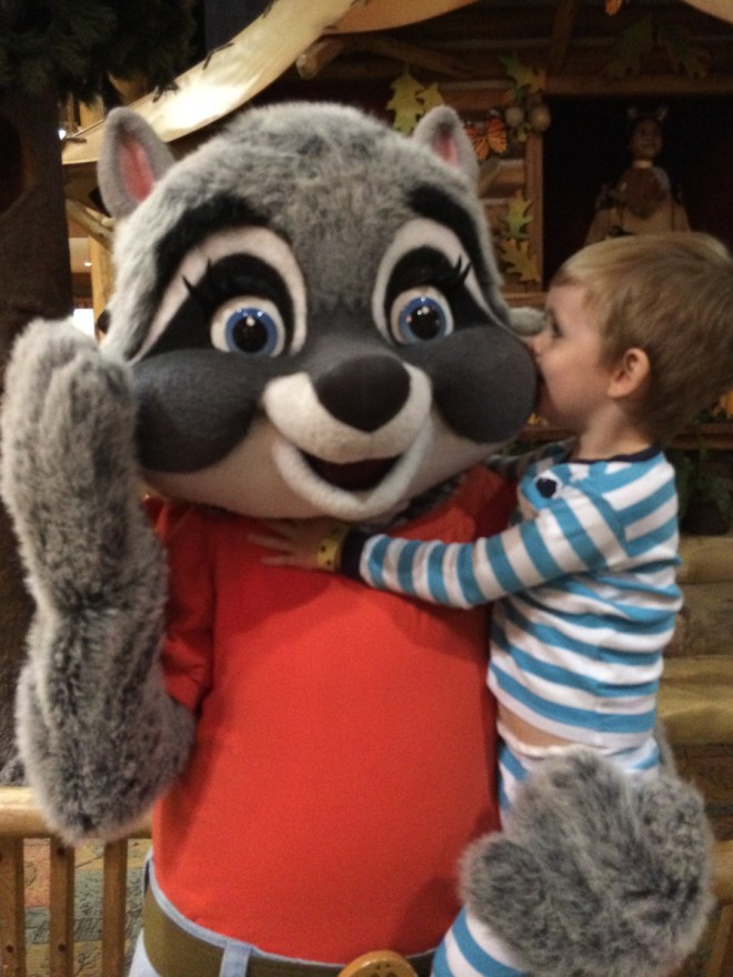 So, I won't get rabies kissing a raccoon will I? 