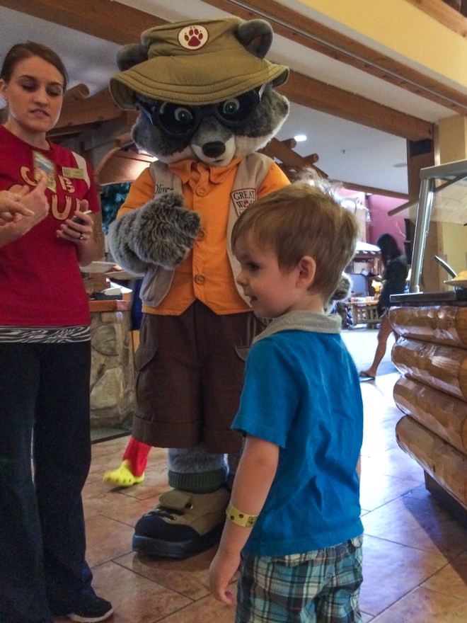 Uh oh. Big raccoon. Hide the table scraps.