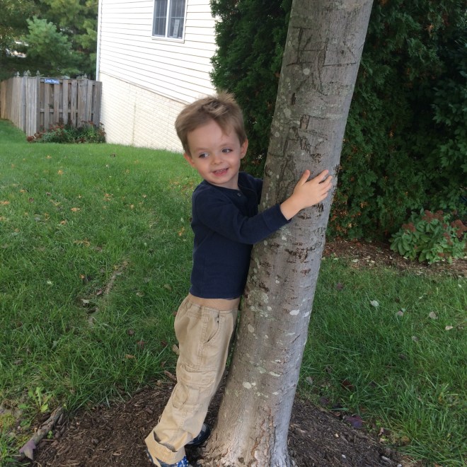 Like this, mom? Dad said you were a tree hugger too.