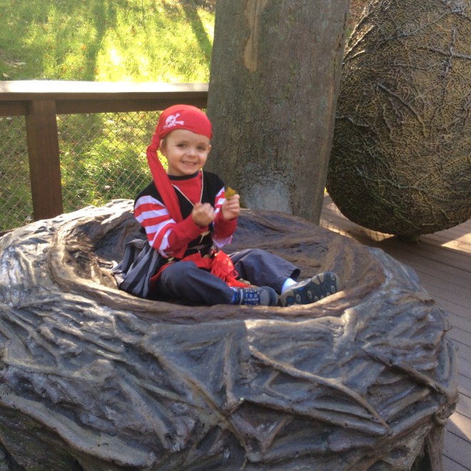 Resting? No, I'm NESTING!