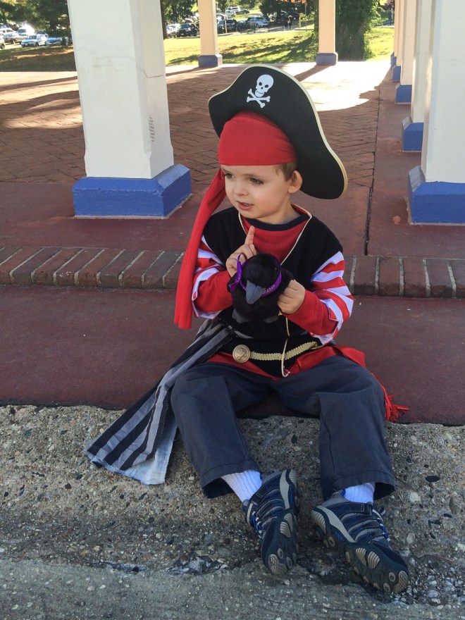 Now, if I can just teach this raven to fetch treasure...