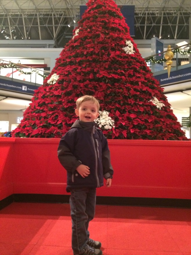 HEY. That's just FLOWERS! 