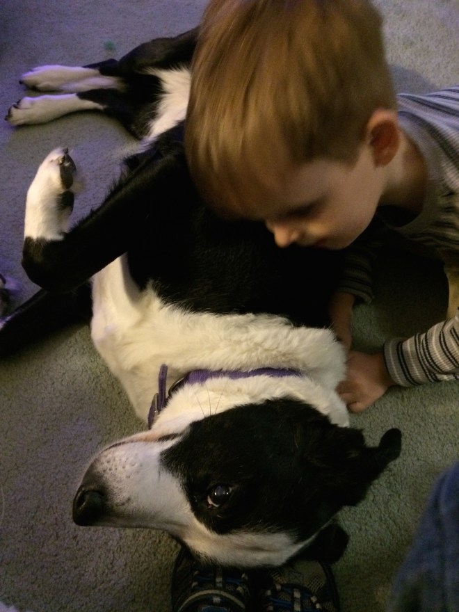 Patches, my new pillow.