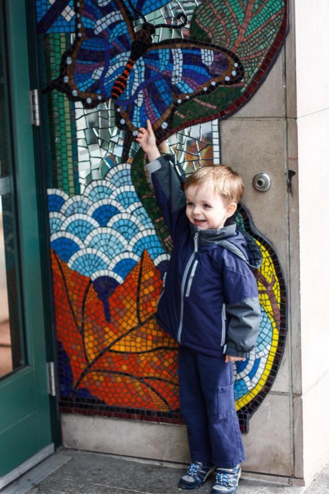 BUTTERFLY! (My version of "squirrel!")