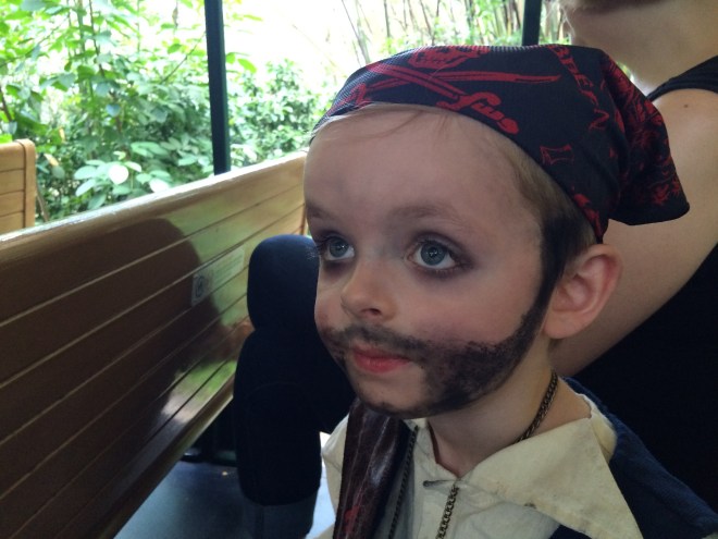 So much to see... can't take it all in.