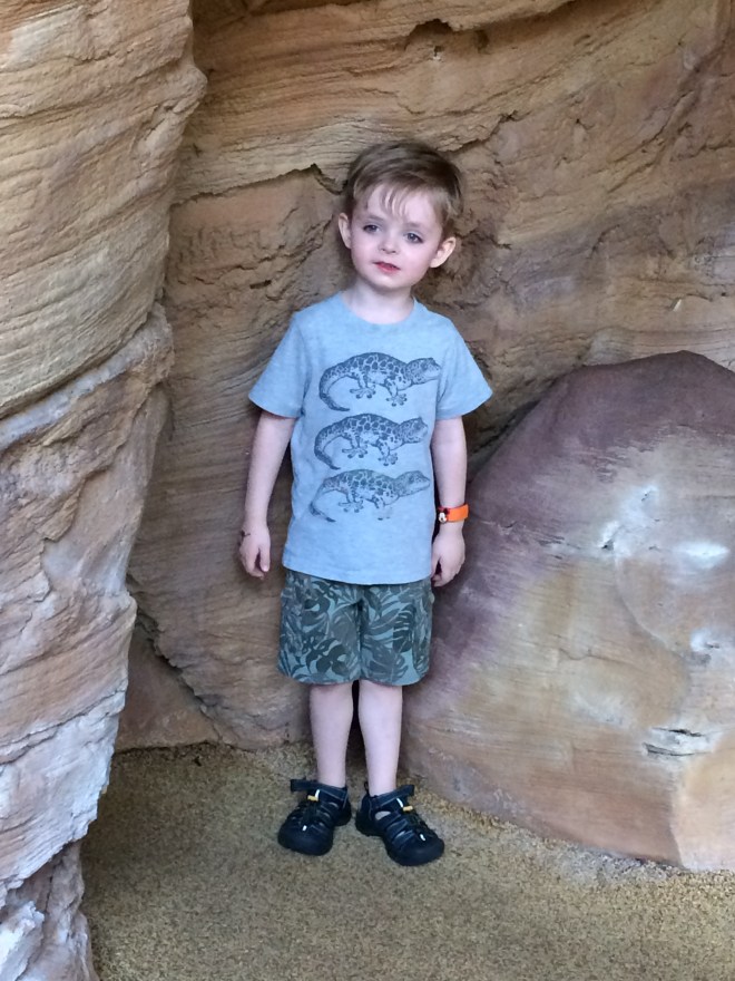 Digging these dinosaurs, Dad. GET IT? Oh nevermind...  