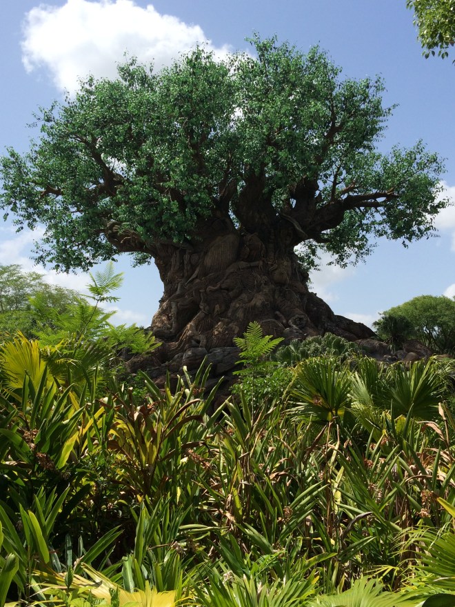 Tree of Life. Awesome.