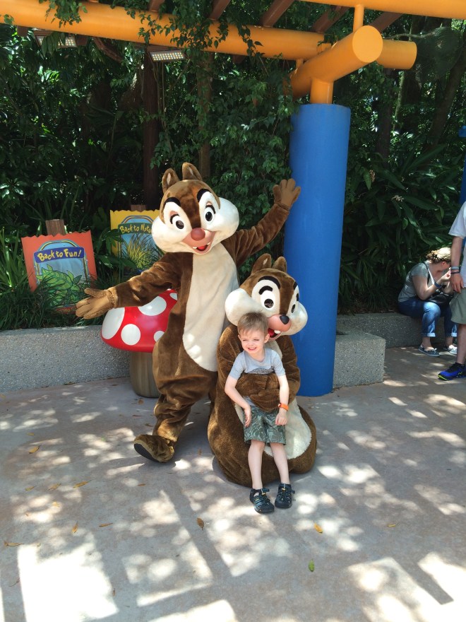 Acorns for everybody!