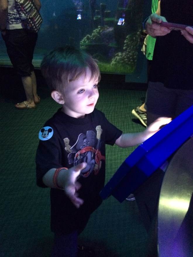 What game is this? It just looks like fish in a tank.