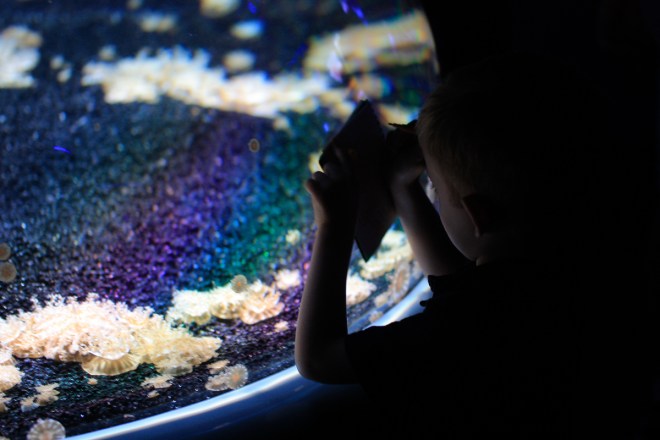 Getting the tendrils JUST right.