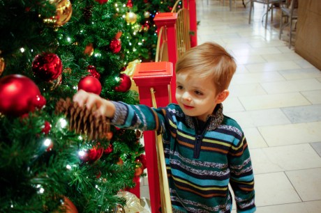 What do you mean we're not supposed to PICK em?