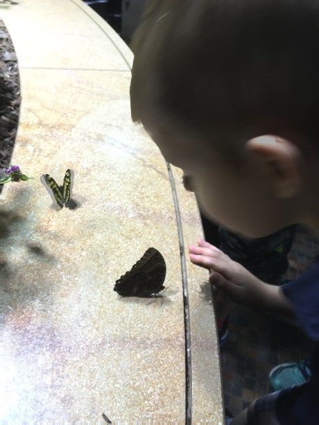 Want. To touch... so badly.