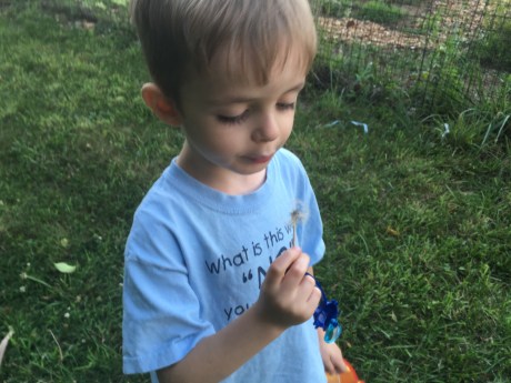 OH NO. I think I broke this dandelion...