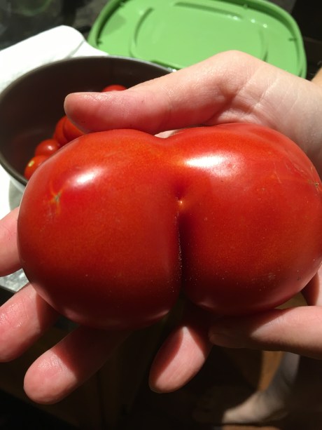 Heh heh... mom grew a butt.
