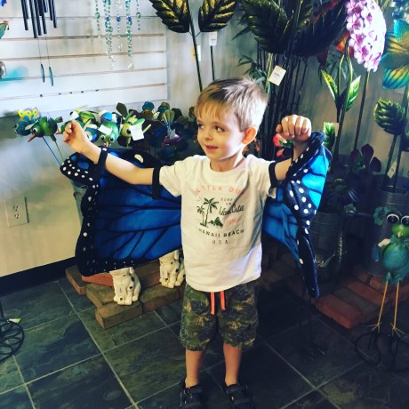 I'M A BUTTERFLY. BAM! Get me some milkweed...