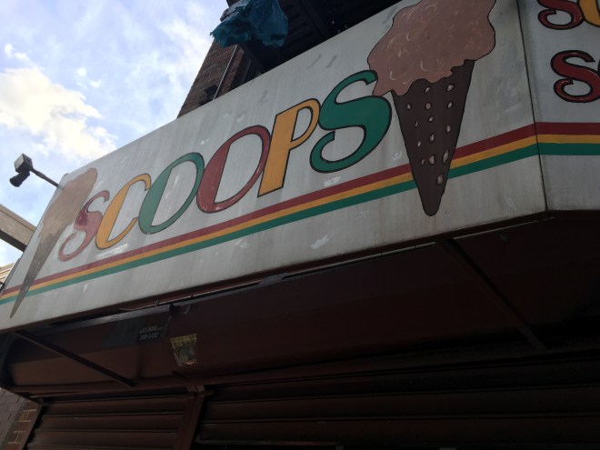 Flatbush Ave. has vegan ice cream!