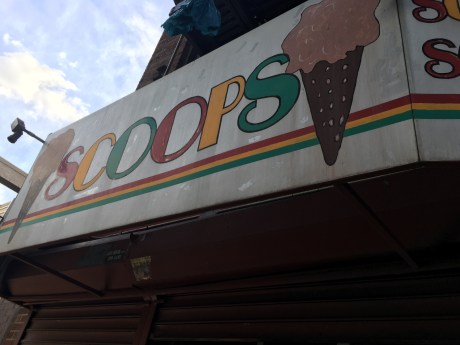 Flatbush Ave. has vegan ice cream!