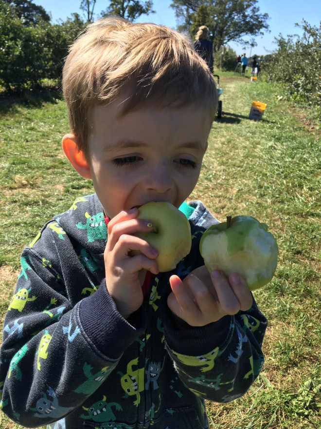 Let's see... this one. (nom nom nom) or... 